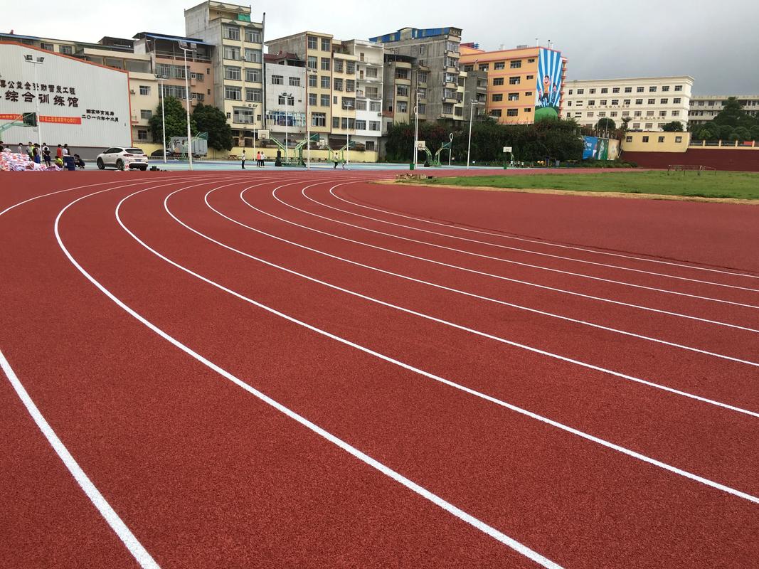 周口市EPDM颗粒塑胶跑道材料 - 排名